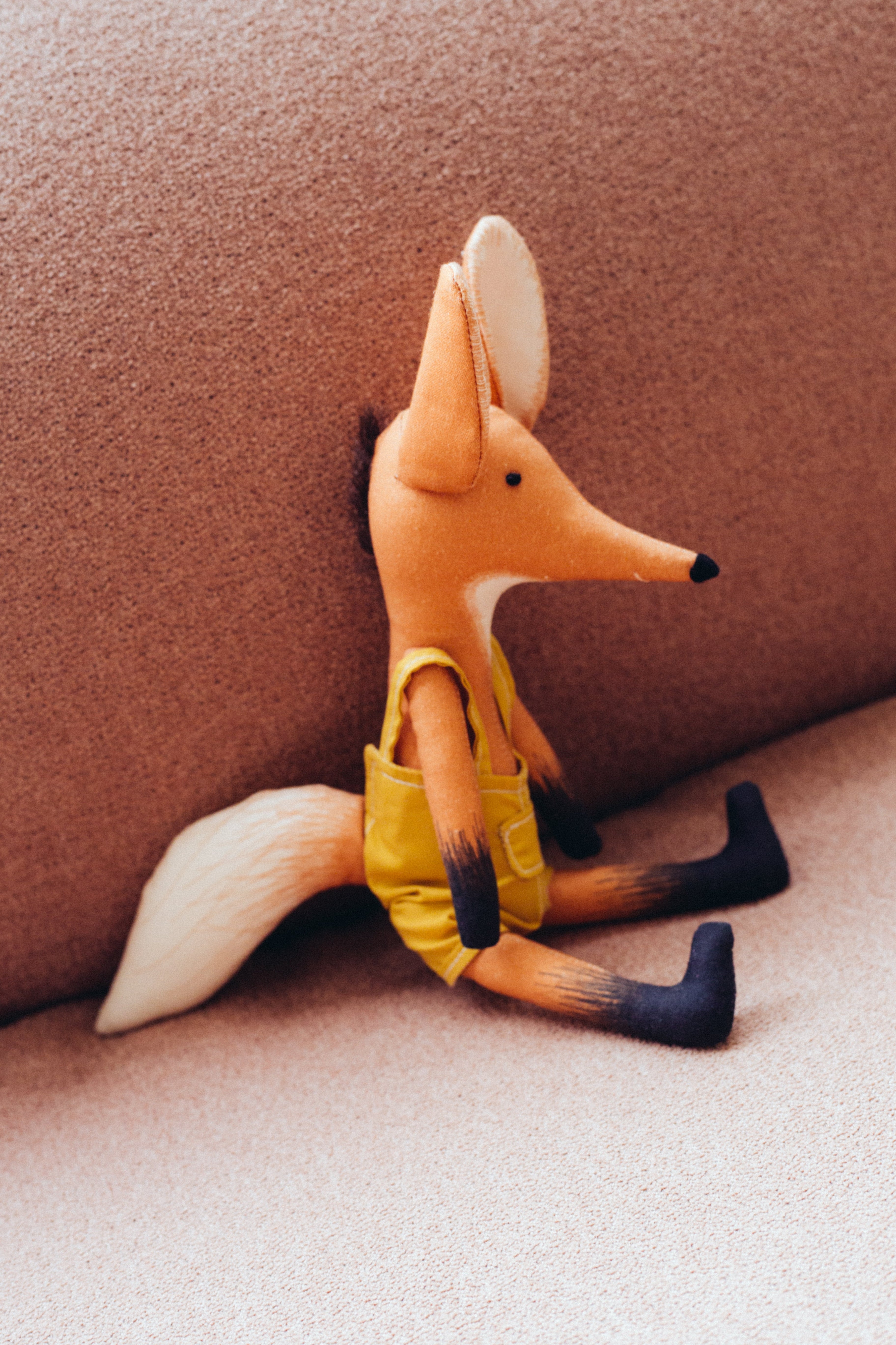 CIÇO, o lobo-guará