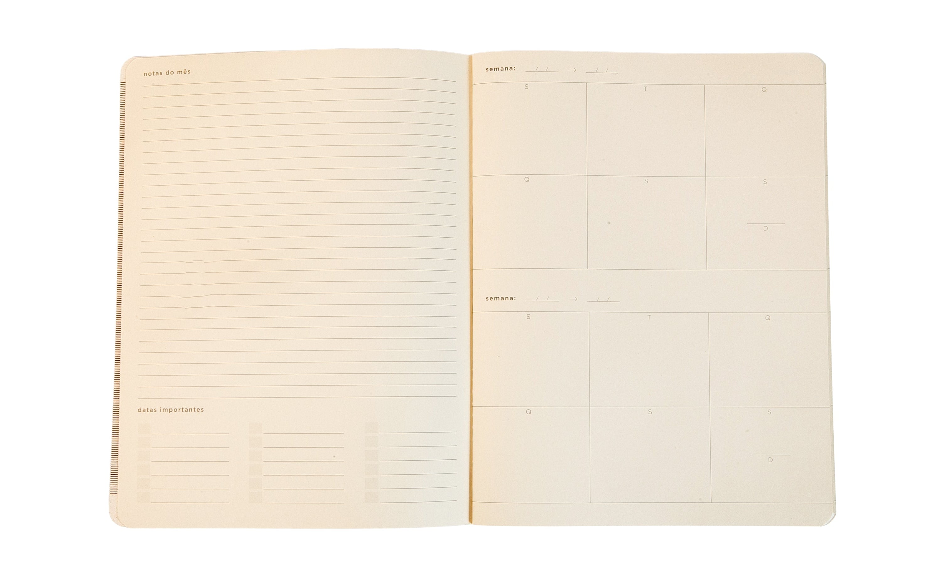 Páginas do Planner #02 com espaço para notas e datas importantes.