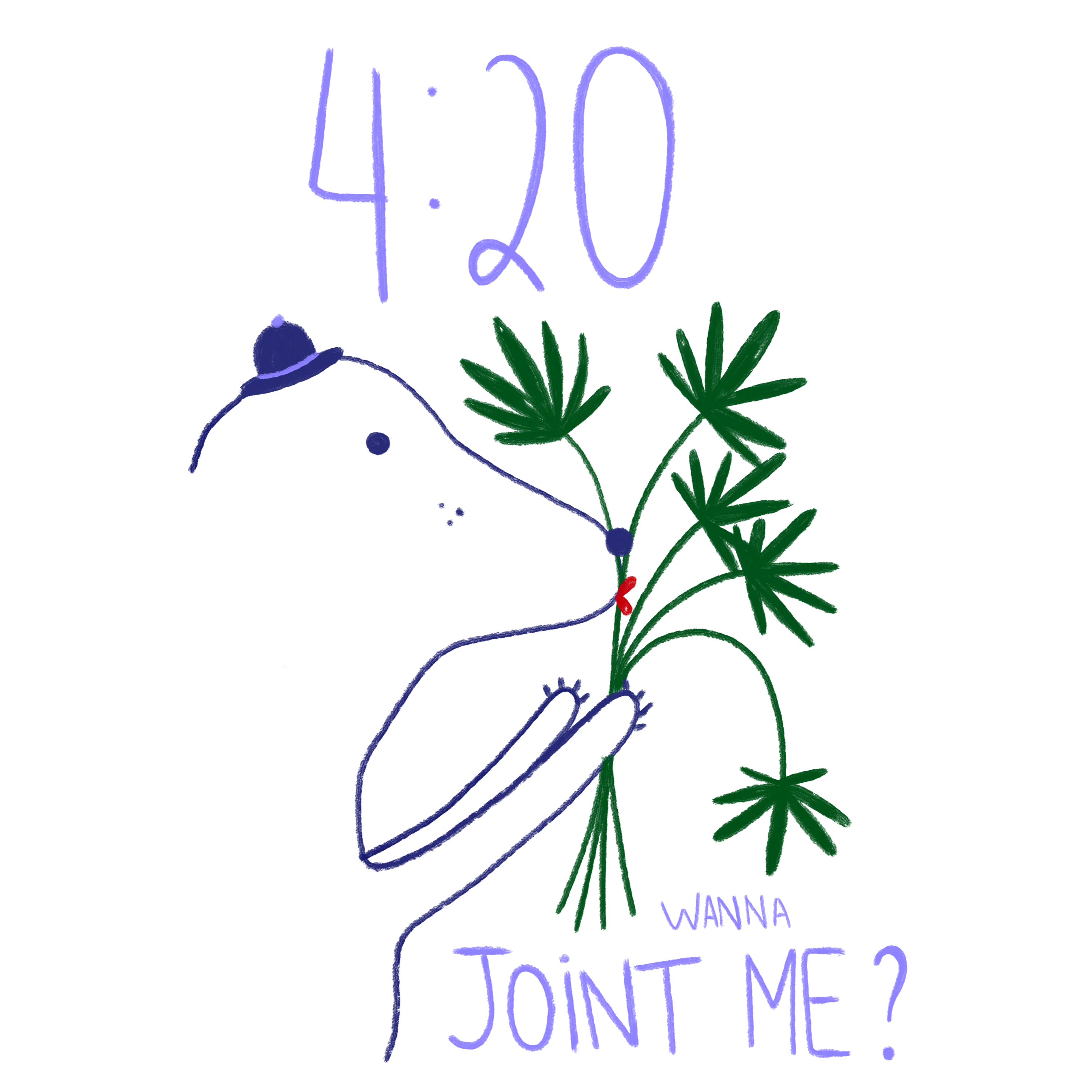 4.20; colored organic cotton