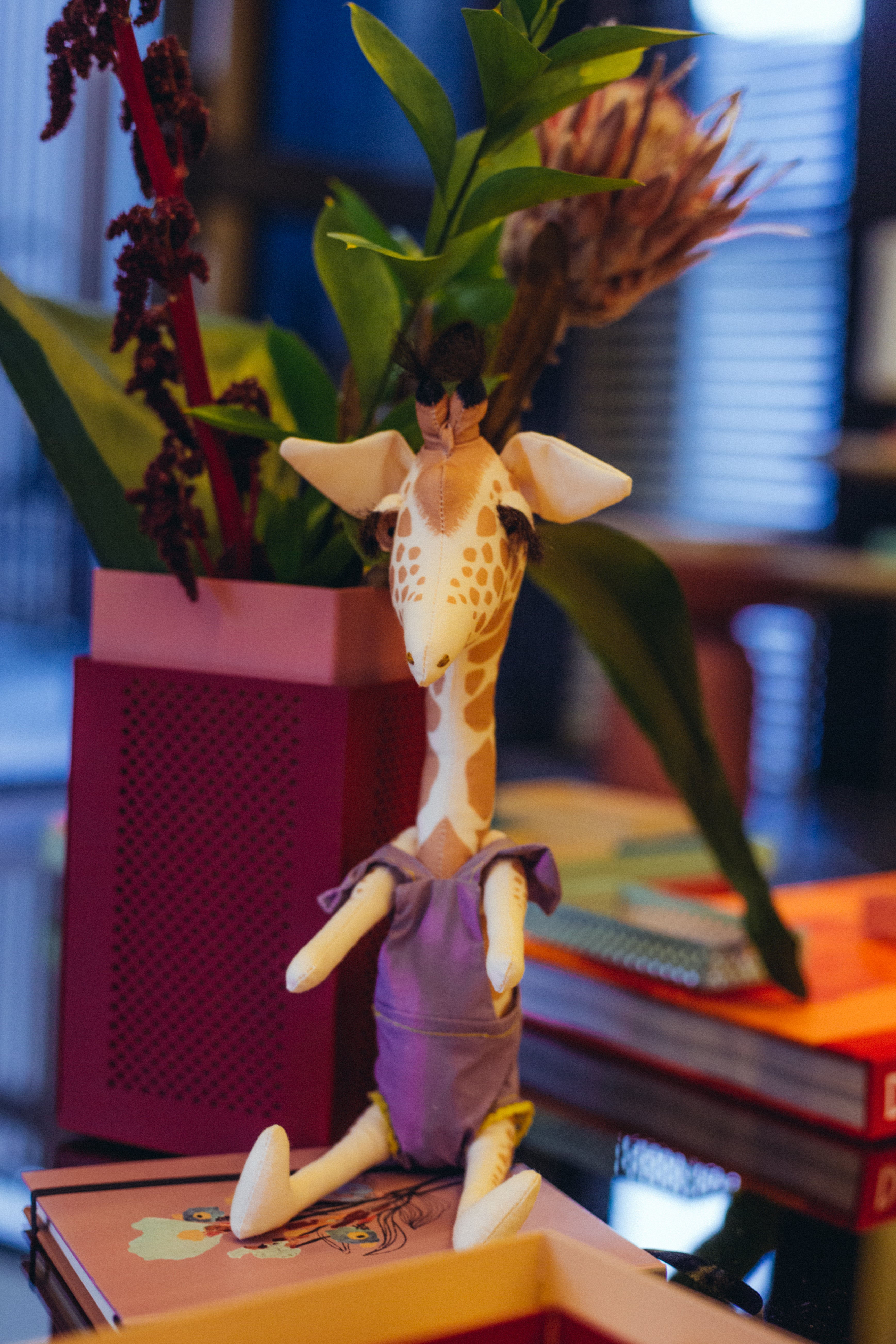 GIGI, a girafa