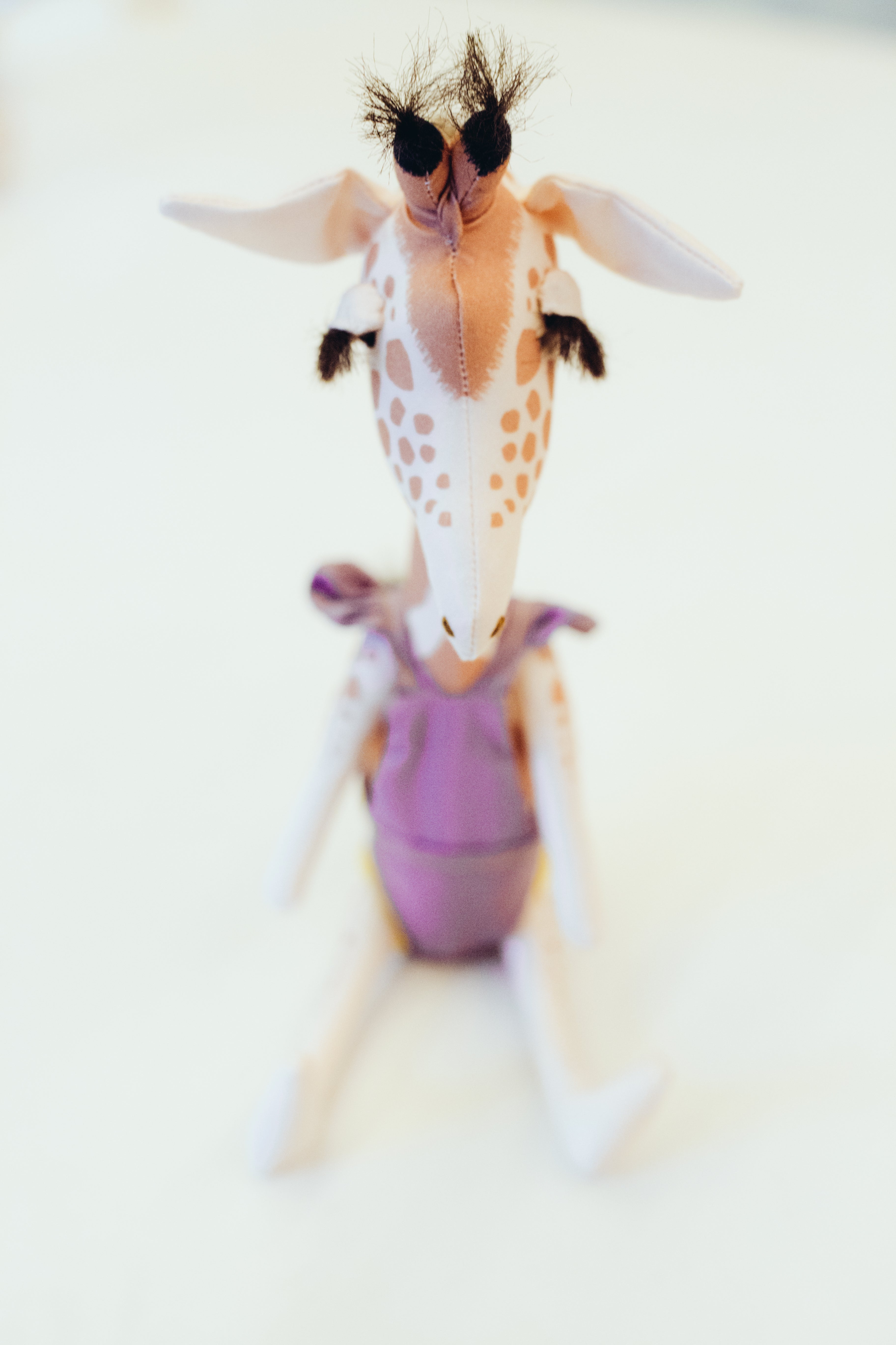 GIGI, a girafa