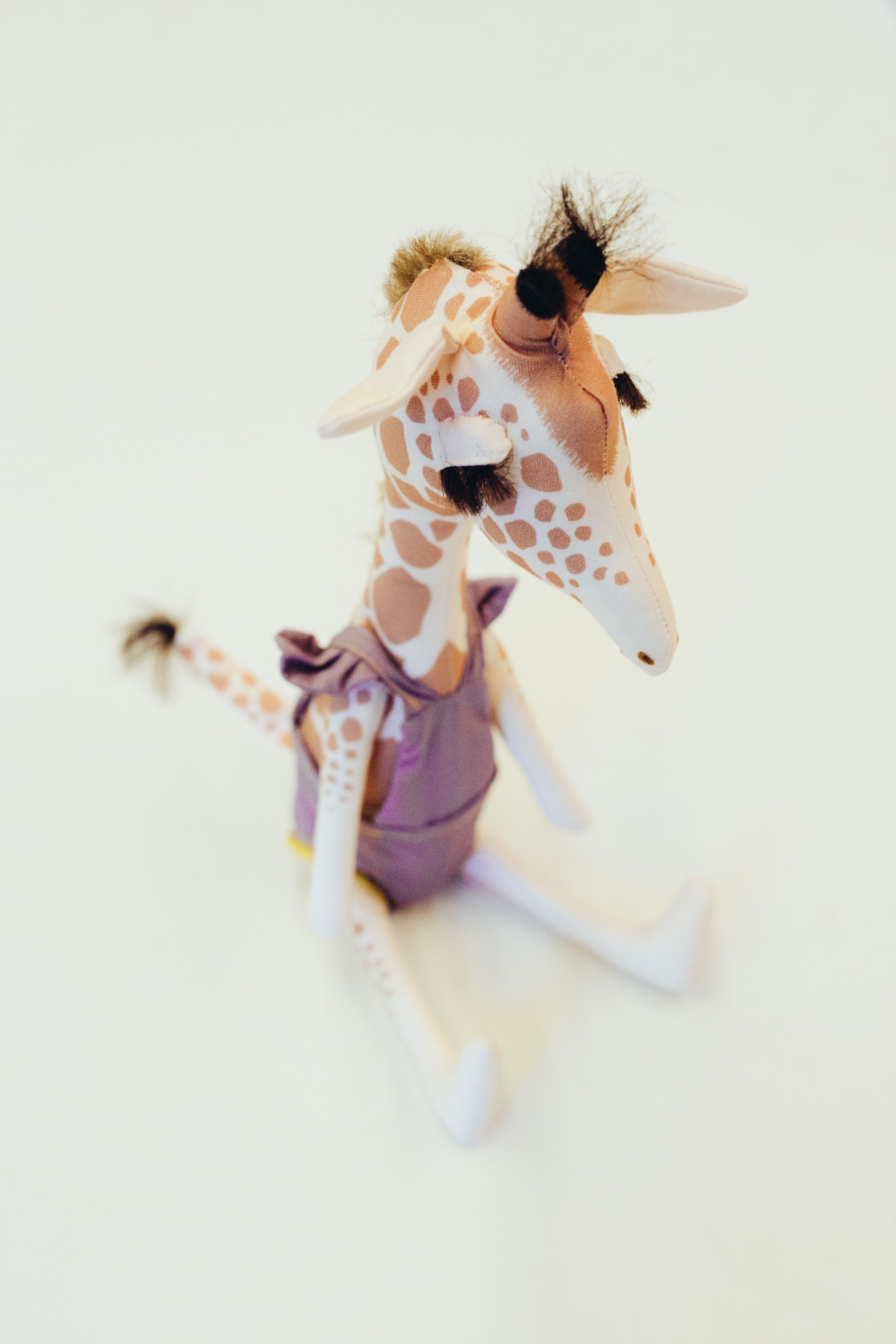 GIGI, a girafa