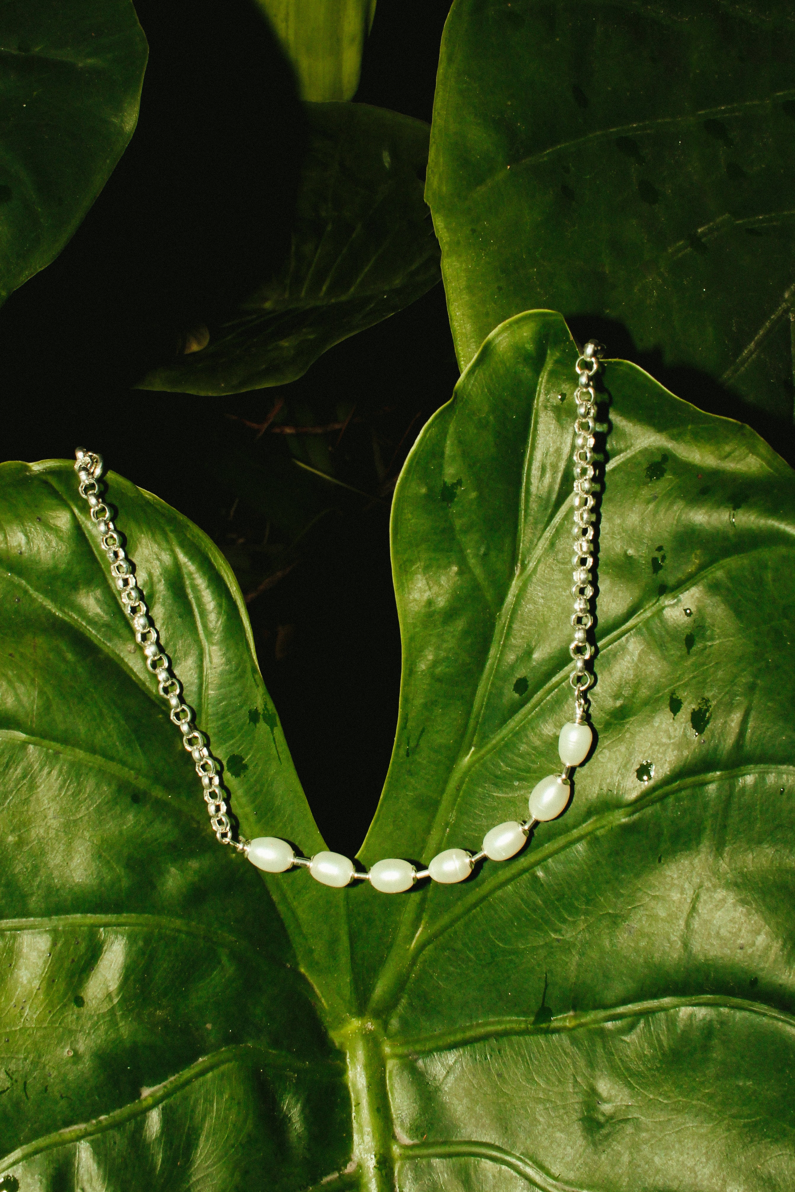 Colar Essential em prata 925 com pérolas naturais de água doce sobre folhas verdes, joia artesanal da A'IUNE.